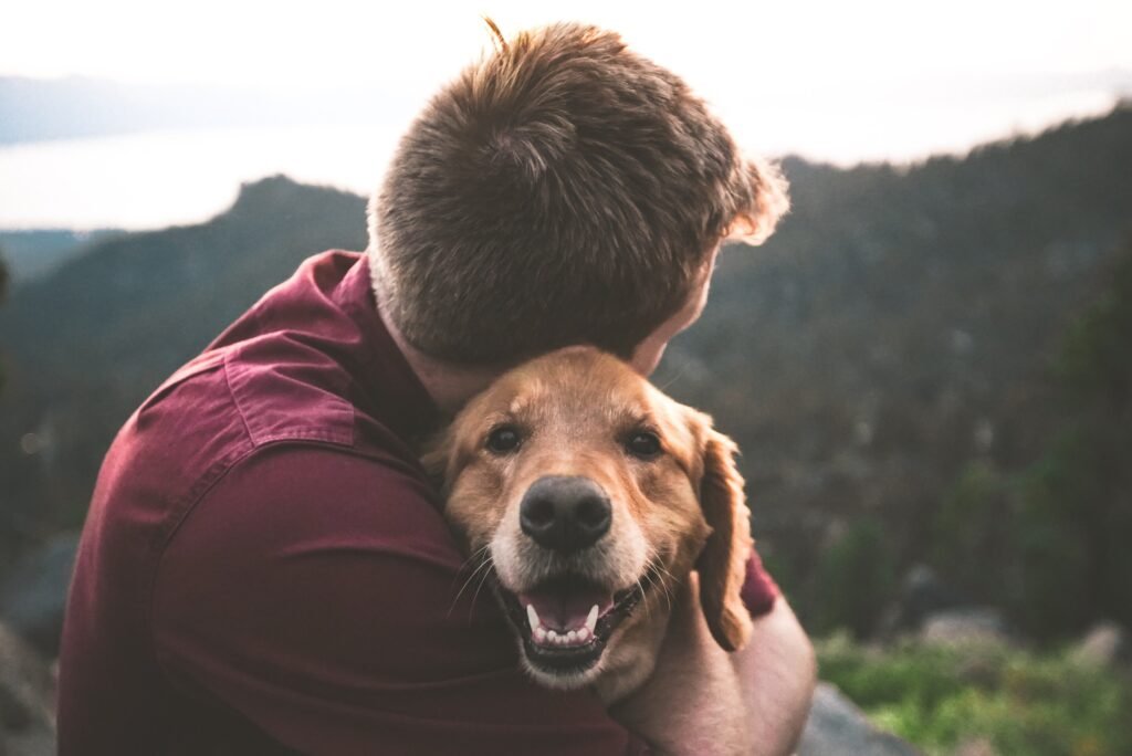 Why Choose The Dog school & Why its Best Option